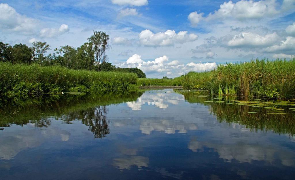 B&B Fam. Elzinga Nieuwkoop Exteriör bild